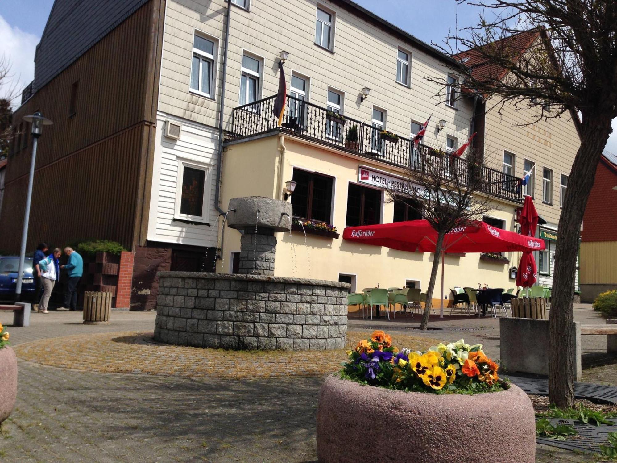Hotel & Restaurant Druidenstein Trautenstein Esterno foto